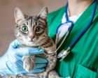 Pet owners at risk of being ripped off by private equity firms as vet ownership rules change