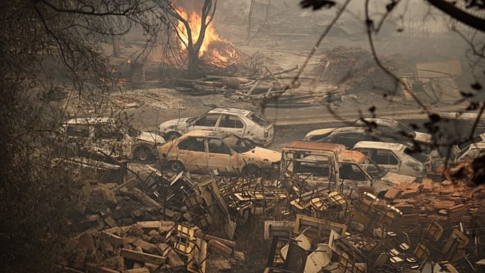 Algeria’s north-east scorched by deadly wildfires, national mourning declared