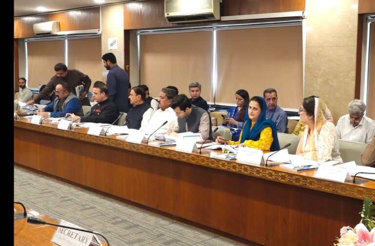 NA Standing Committee demands grassroots football drive
