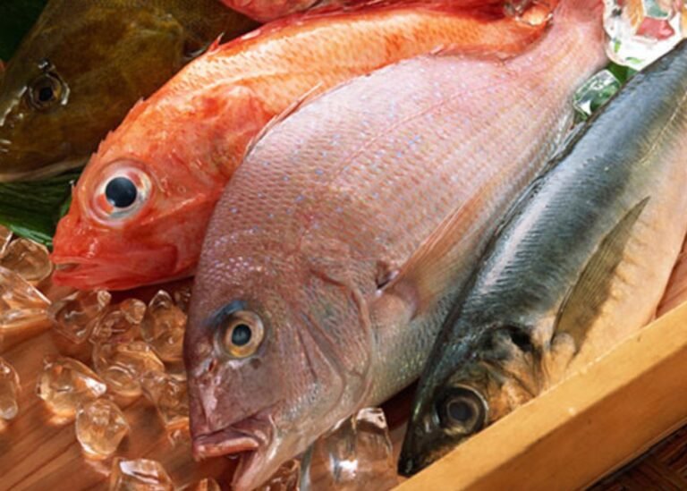'Seafood exports could reach $2b'
