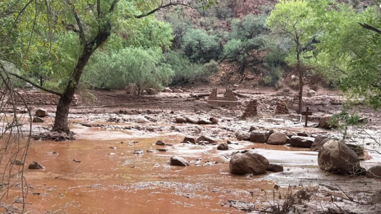 Grand Canyon flash floods leave one dead and 15 missing