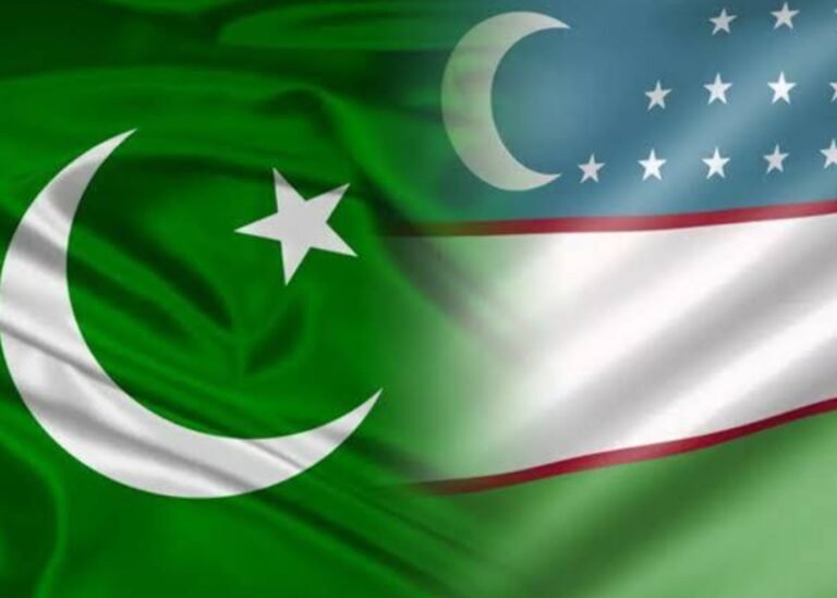 'Significant scope' in Pakistan-Uzbekistan energy cooperation
