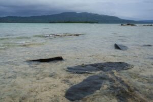 TRT World – At least one dead, more than 30 missing after ferry sinks off Vanuatu