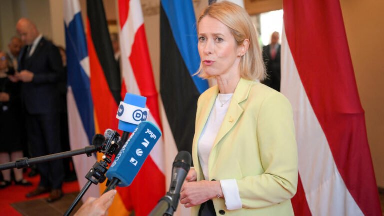 Leaders urge EU to expand Arctic presence amid Russia 'threat'