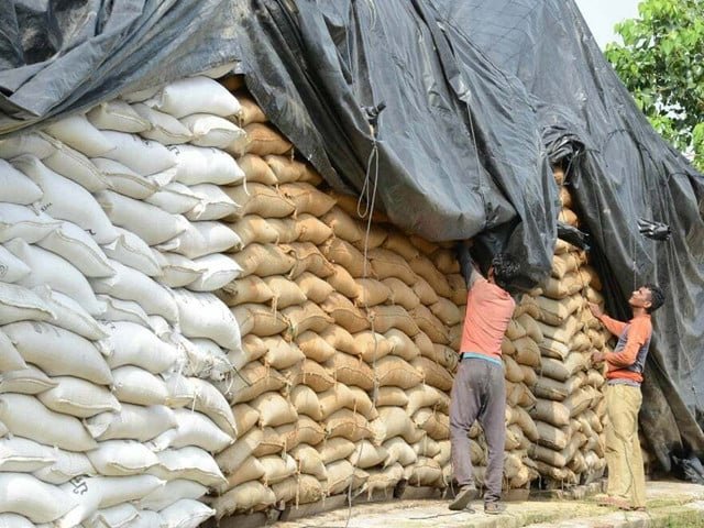 Govt approves 750,000 tonnes wheat import as TCP invites bids