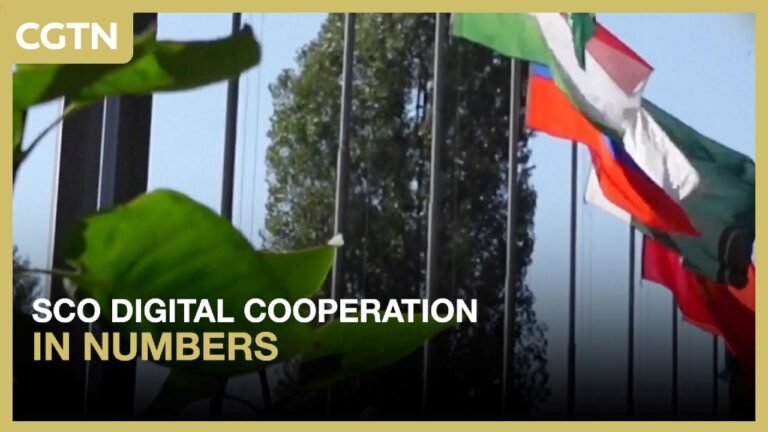 SCO digital cooperation: One year in numbers