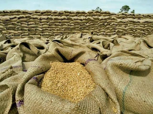 Wheat pricey despite bumper crop