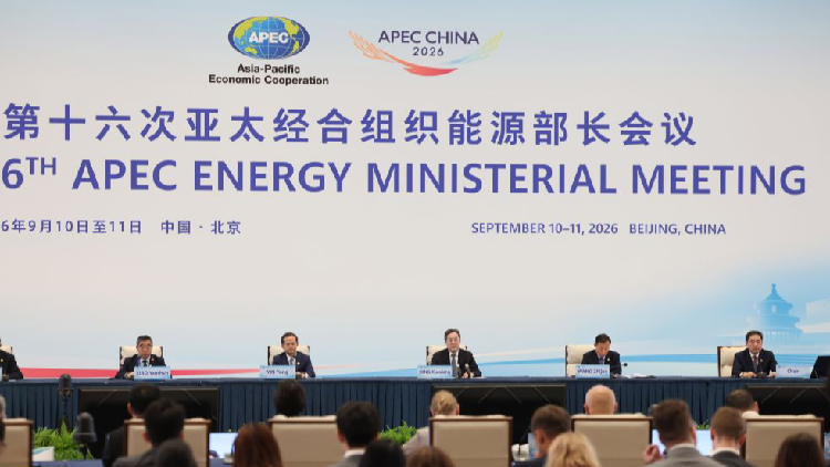 APEC energy talks spotlight China's role in regional green transition