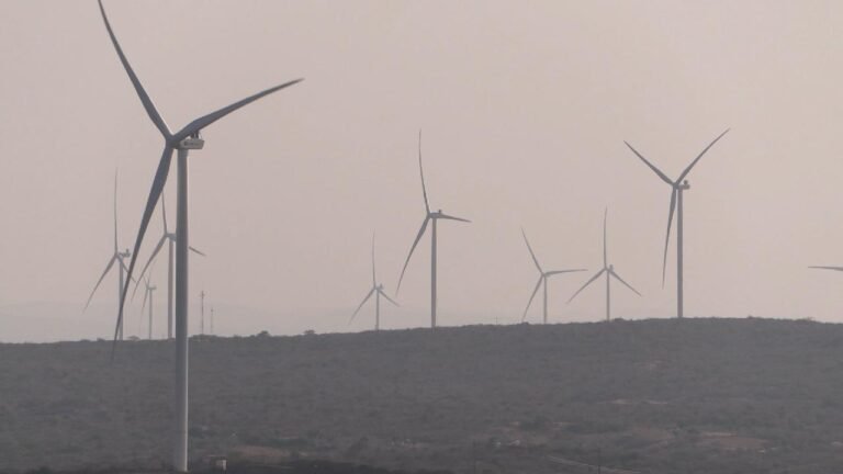 China-Brazil cooperation drives wind power expansion in Brazil