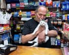 Catnapped bodega cat in Brooklyn reunited with owner after intense grassroots campaign