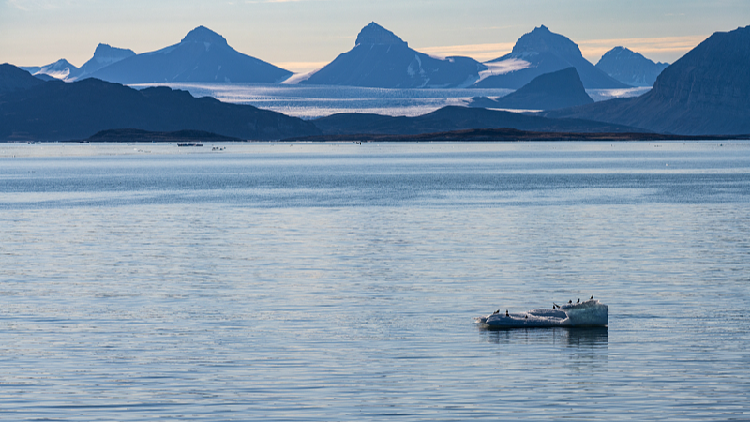 Norway seeks deeper cooperation with China