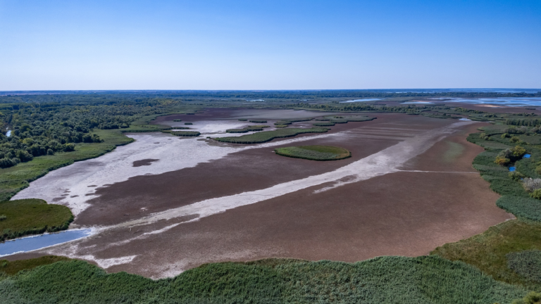 Hungary launches major afforestation program amid climate pressures
