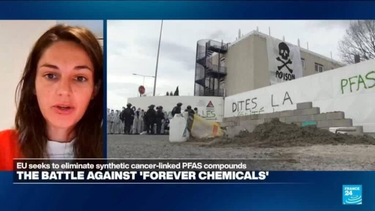 Lack of 'enforcement of EU laws': Consumer products contain 'illegal levels of restricted chemicals'