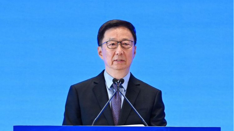 Chinese VP says more measures to facilitate intl. investment in China