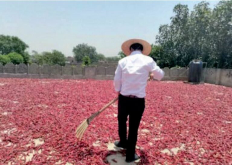 New Pak-China agri-route opens