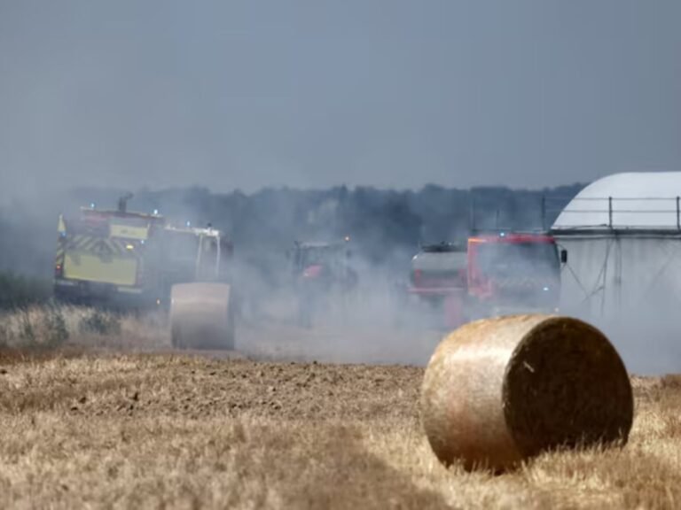 France gives farmers €1b to recover from record heatwaves