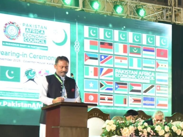 Pakistan-Africa Economic Council to launch to tap 1.59b-people consumer market