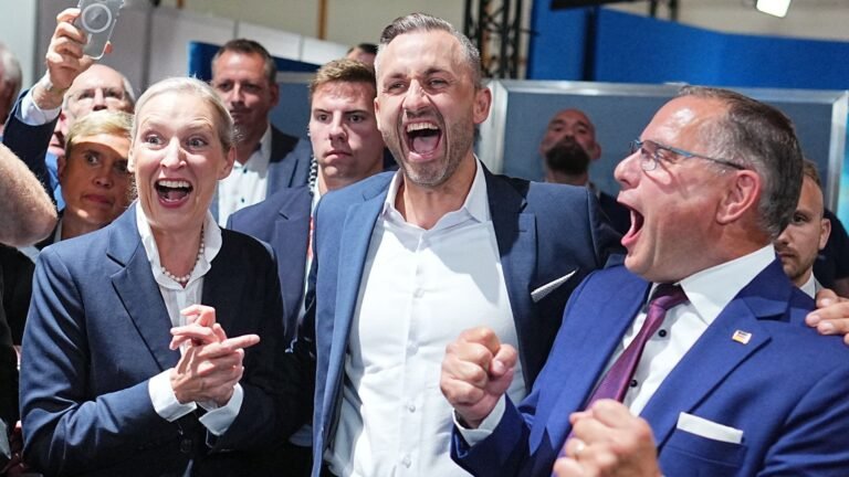 Who are the far-right AfD party – and what are their policies?