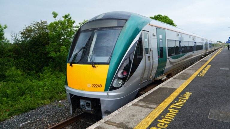 Boy dies after car hit by train on level crossing