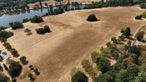 August was world's joint hottest month on record, say scientists