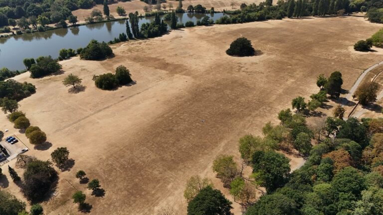 August was world's joint hottest month on record, say scientists