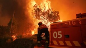 Current El Nino extreme weather phenomenon will be 'exceptional', say forecasters