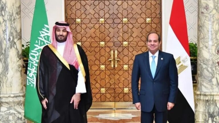 Egypt's Sisi and Saudi crown prince stress need for security of Red Sea navigation